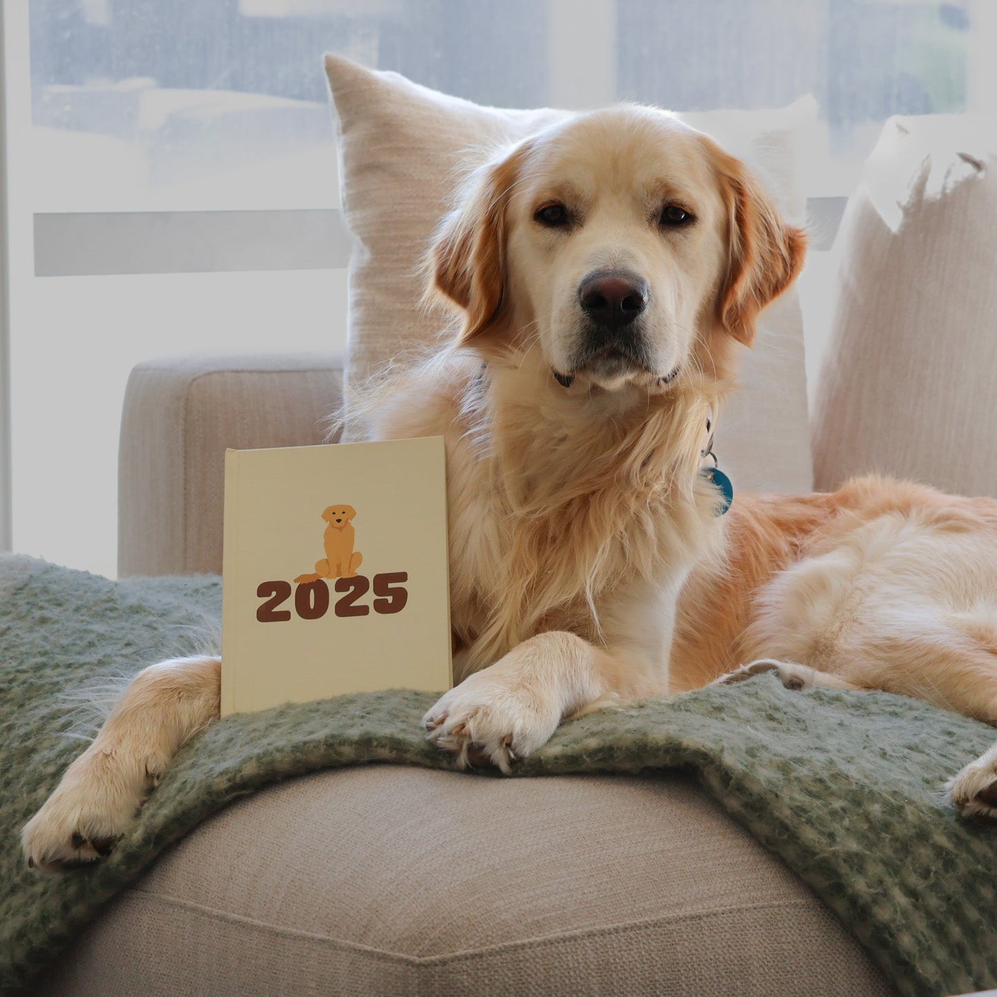 Golden Retriever 2025 Diary