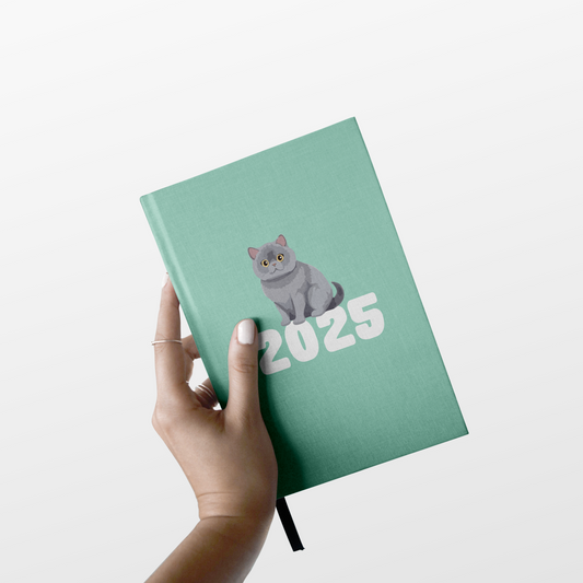 British Shorthair 2025 Diary